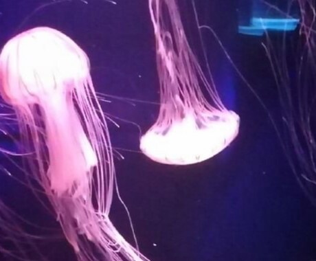 30分間リピーター様枠になります 30分間リピーター様。17000 イメージ1