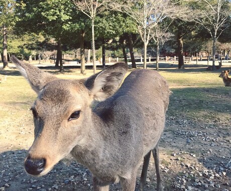 旅行の概念を変えます 私たちと一緒に新しい旅に出ませんか？ イメージ2