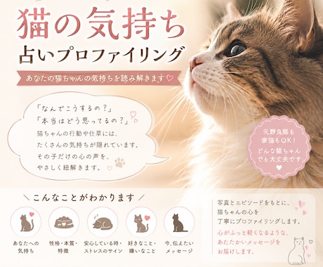 愛猫の本音と絆を読み解きます 猫の気持ち占いプロファイリング イメージ1