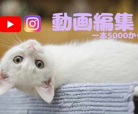 5000円〜動画編集させていただきます 追加オプションありです下記を確認ください イメージ1