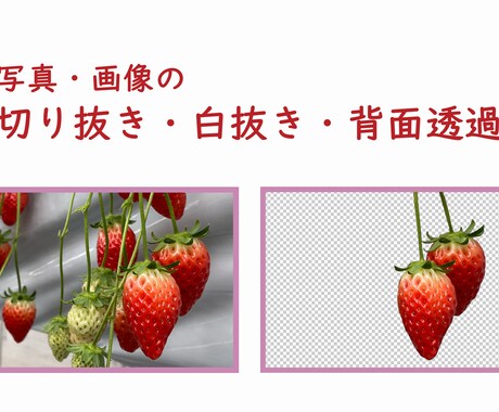 写真や画像の切り抜き、背景透過・白抜きします ご希望であれば文字入れも可能です。 イメージ1