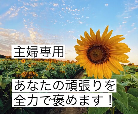 褒められたい主婦専用 毎日頑張るあなたを褒めます ✨声の自己紹介付✨あなたの頑張りをお聞かせ下さい イメージ1