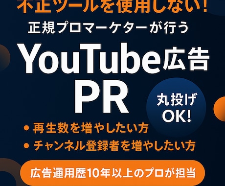 YouTube広告で動画再生数と登録者を獲得します 上級ウェブ解析士資格も所持する広告運用のプロが担当いたします イメージ1