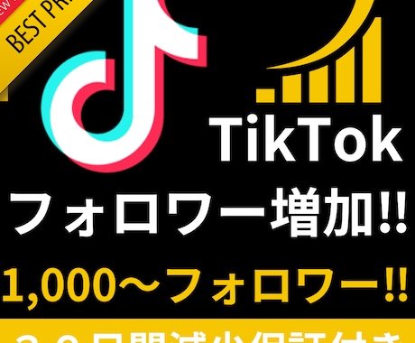 TikTokフォロワー増加します コスパ◎！安く高品質なフォロワーをご提供します イメージ1