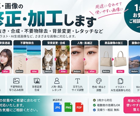 画像・写真を自然に修正加工します イメージ1