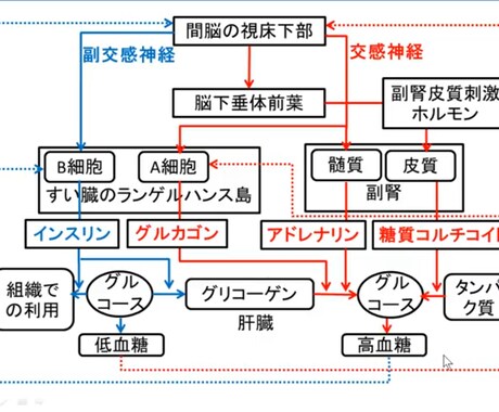 進学校1位が高校生物、化学、わかるまで教えます 生物、化学を解いていてわからないことがあるあなたへ！ イメージ1