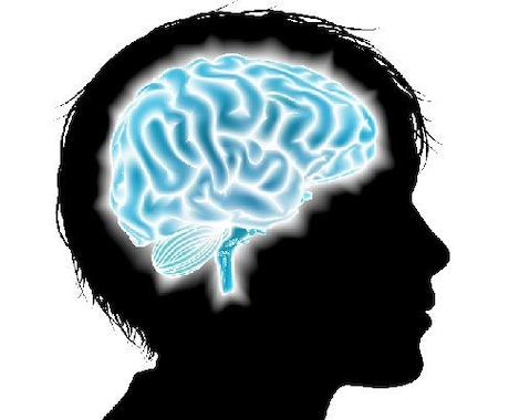 頭が良くなる方法を教えます 最新のエビデンス満載‼️脳科学に基づいた様々な方法を伝授‼️ イメージ1