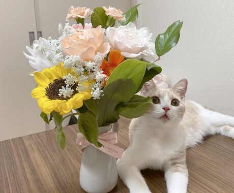 あなたのお悩み聞きます 誰かに聞いて欲しい！そんな気持ちに寄り添います(*^^*) イメージ1
