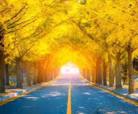 どんなお話でも色々聞きます 生きてたら色々あって当たり前。ぶちまけてスッキリしましょ！ イメージ2