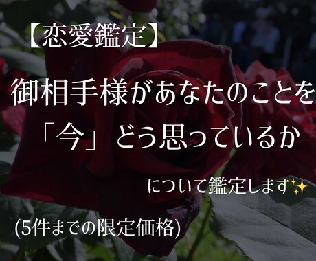 夢女子さん歓迎！今の御相手様の気持ちを占います 二次元・三次元などどんな御相手様についても伺います！ イメージ1