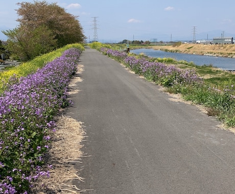 友達感覚でお話し聞きます 愚痴でも相談でも気軽にお待ちしています イメージ1