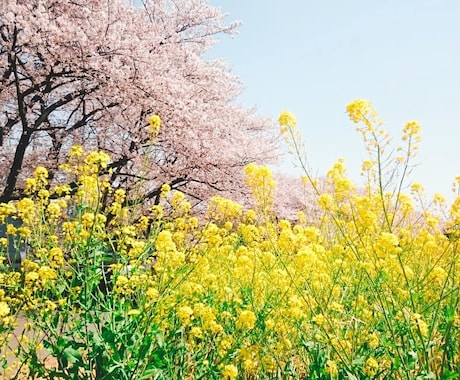 4月限定☆あなたのライフコーチつとめます 4月からの生活が、心配や不安でいっぱいの方へ。 イメージ1