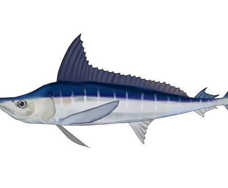 論文への使用OK!リアルな魚のイラスト描きます 論文やポスターなどの挿絵に使用できる魚のイラストを作成します イメージ2