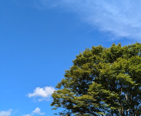 カード×カウンセリング⭐︎心の揺れに寄り添います カードからの「今のあなたに必要なメッセージ」をお届け イメージ2