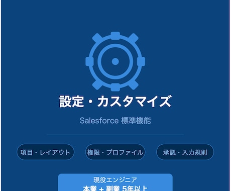 Salesforceの設定・カスタマイズをします やりたいことを教えてください！最適な設定を提案・実施します！ イメージ1