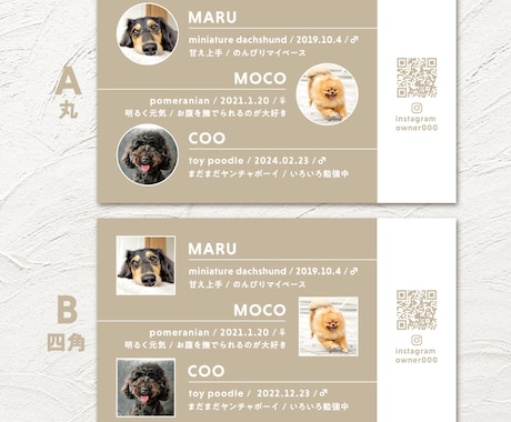 ３頭限定×シンプルが可愛いペット名刺制作します 印刷代込み100枚！オフ会・イベントで大活躍♩ イメージ2