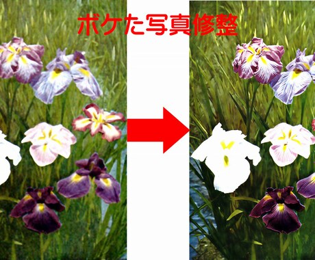 ピントが合わずにぼやけた写真を鮮明に修正します 指定の部分の修正も可能です。OP:BIGサイズ対応 イメージ2