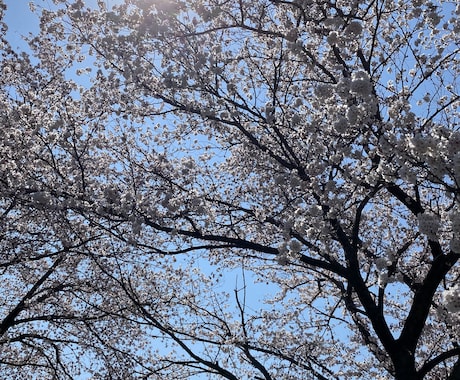 悩み、相談事、恋愛、チャットで聞きます 秘密厳守で、とにかく聞きます。 イメージ1