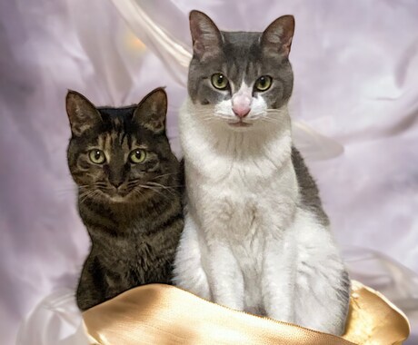 気軽にキャリア・転職・人生相談に乗ります どんな内容でも、ぜひお気軽にご連絡ください！ イメージ1