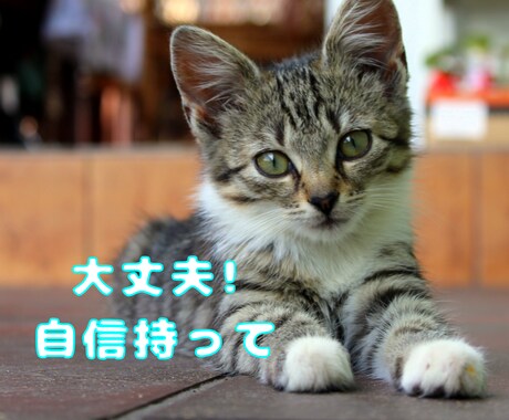 相手の気持ちを知って賢い恋愛を！恋の不安なくします 好きになっていい？騙されてる！今後について考えるきっかけに イメージ2