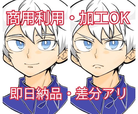 商用・加工OK！差分アリのイラスト販売します アイコンやヘッダー、その他諸々ご自由にお使い下さい！ イメージ1