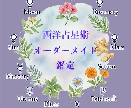 西洋占星術オーダーメイド鑑定いたします オプションでお好きな鑑定を組み合わせて頂けます。 イメージ1