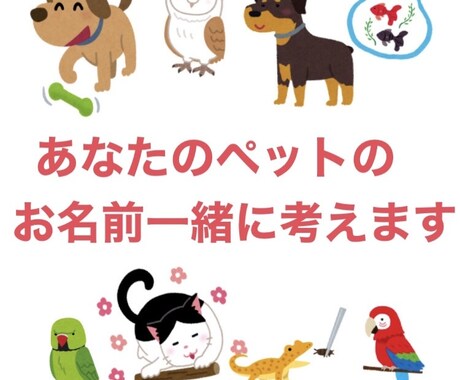 ペットの名前一緒に考えます 毎日の思い出を素敵な名前と共に イメージ1