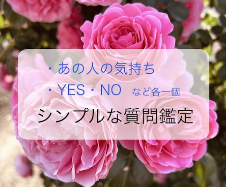シンプルな質問を鑑定、霊視とオラクルカードで視ます 気になる、お仕事、恋愛、気持ちのモヤモヤを鑑定します。 イメージ1