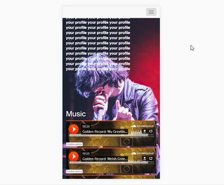 ホームページ制作（ミュージシャン・音楽家の方）致します。【スマホ/ＰＣ対応】【簡単】【リーズナブル】 イメージ2