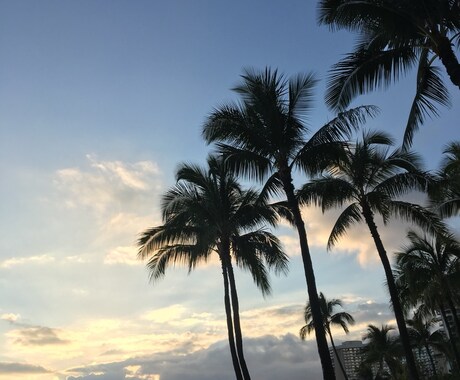 アメリカ在住★現地留学会社に勤務　移住相談のります 現地留学会社で勤務。海外就職、留学や移住の相談にのります！ イメージ1