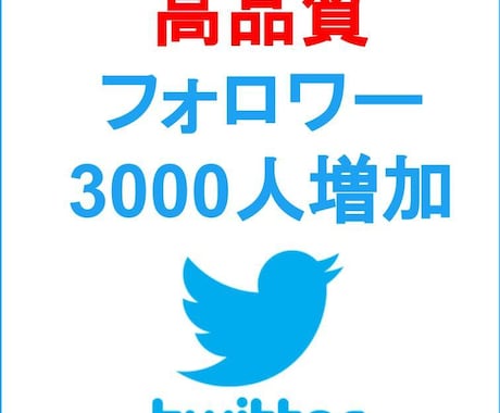 Twitterフォロワー3000人増加させます 【10件限定】Twitterフォロワー3000人増加