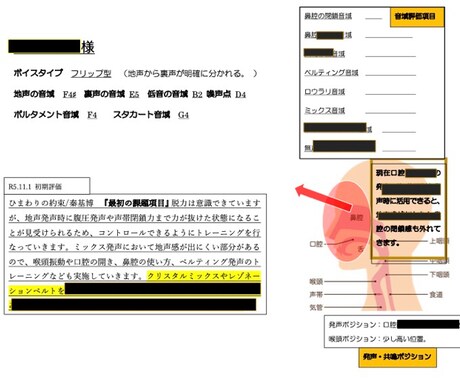 総フォロワー10万人のボーカル講師がボイトレします 最短でミックス習得から音域を広げる。 イメージ2