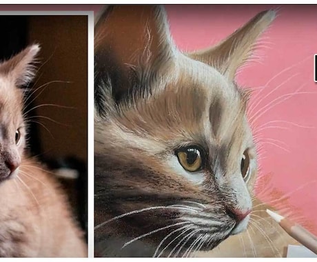 オンラインレッスン！ 猫、風景等の描き方を教えます 89動画で学べるパステル画絵画教室！楽しく認知症予防！ イメージ1