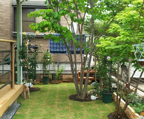 園芸初心者の方に開花するまで丁寧にお教えします 人気のCCR(バラ クレマチス クリスマスローズ)も是非！ イメージ1