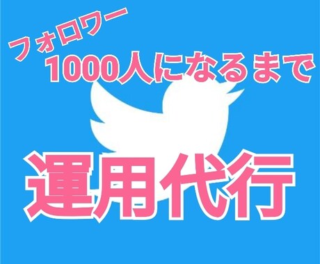 ツイッターのフォロワーを0⇨1000人にします 10日間でフォロワーを1000人まで運用代行！受付中止 イメージ1