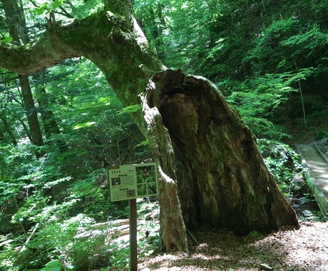 自然風景の写真、動画の素材提供致します 中々行けない山道や岩場、滝等の自然風景の素材を提供致します！ イメージ1