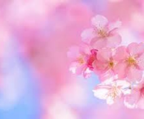 ふんわり柔らかな桜の花の愛と癒しのヒーリングします 【ハートを愛で満たし愛され体質になっていきましょう】 イメージ1