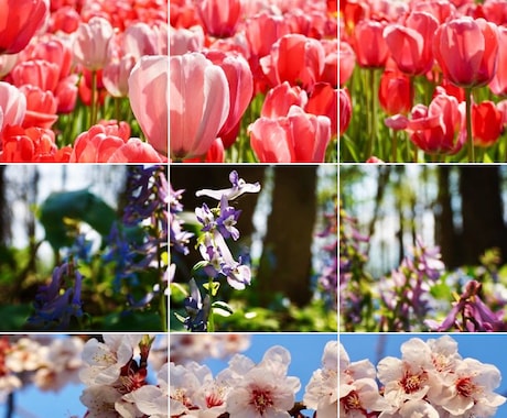 instagramグリット投稿用画像を作成致します グリット投稿で見に来た人があっと驚くマイページに！ イメージ1