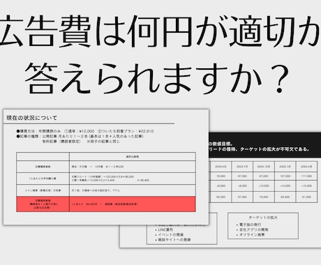 あなたの会社の『適正な広告費』を算出します 【売上や毎月の広告費から、売上最大化の適正広告費を教えます】 イメージ1