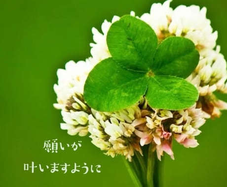 これからの半年間の運勢をカードを通してお伝えします 独自のリーディング方でこれからの半年間を総合的に読みます! イメージ2