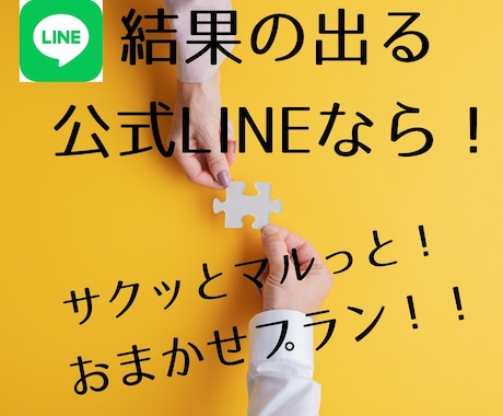 LINE構築いたします LINEマーケティングのプロがあなたのビジネスを大胆サポート イメージ1