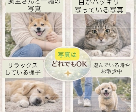 天国のあの子の想いを届けます 今あなたに伝えたい、本当の気持ち イメージ2