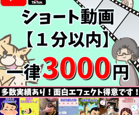 1分以内の縦長ショート動画を作成します 視聴者様の目に留まる縦長動画を作成します！ イメージ1