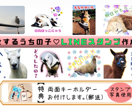 特典付き★お試し価格★LINEスタンプ作成致します ペット・お子様・動物等、どんなお写真でもOK！ イメージ1