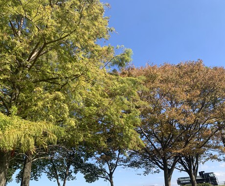 京都弁20代OL☺️あなたの心にふんわり寄添います のんびりお話しして心を軽くしませんか？☺️ イメージ1