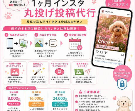 月4回8千円で写真丸投げインスタ投稿代行します 1投稿＝1画像！写真を用意するだけでインスタ投稿代行 イメージ1