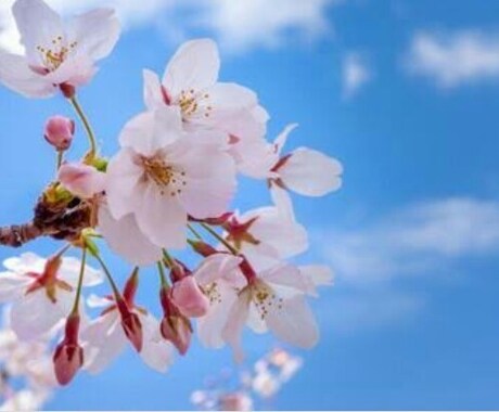 貴方のお話相手になります とにかく聞いてほしいことや愚痴などあればぶつけてみませんか？ イメージ1