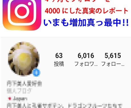 インスタのフォロワーアップ法を教えます フォロワーが増えて「いいね！」も増える、フォロー外しされ難い イメージ1