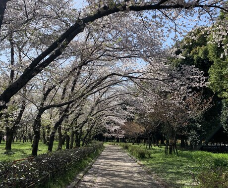勉強に関する相談ならなんでものります 計画づくり、勉強方法、モチベーションの上げ方、悩み相談など！ イメージ1