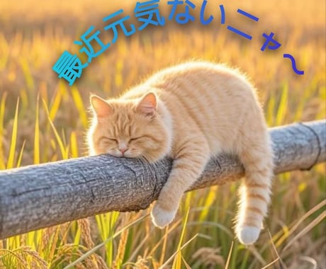やさしい光で包み込む《ペットヒーリング》行います あなたの大切な家族（ペット）に、心からの癒しを届けます。 イメージ2